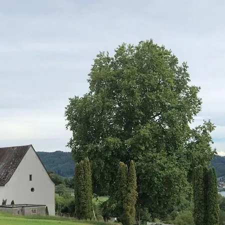 Apartment Pleasant With Terrace *